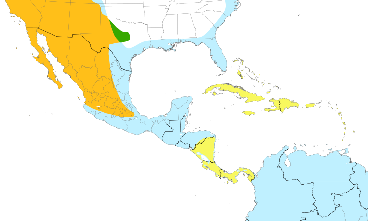 Range Map (Central): Peregrine Falcon