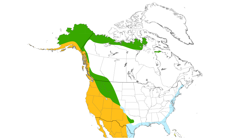 Range Map (North): Peregrine Falcon