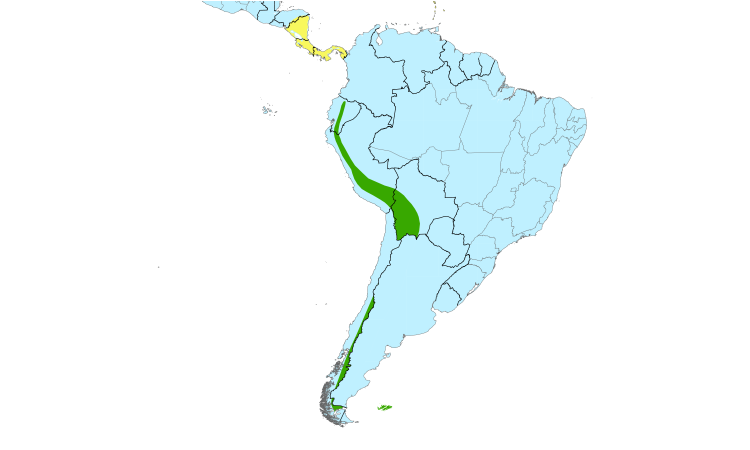 Range Map (South): Peregrine Falcon