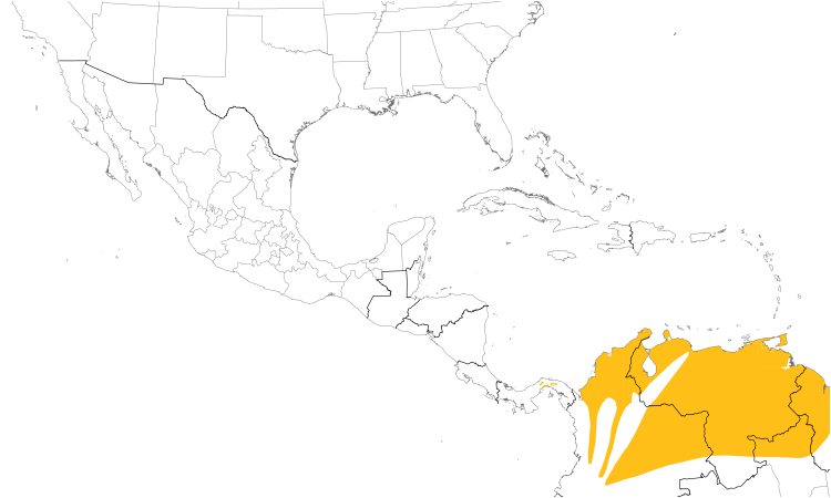 Range Map (Central): Pied Water-Tyrant