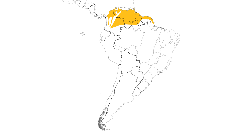 Range Map (South): Pied Water-Tyrant
