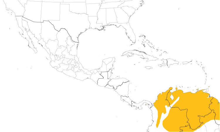 Range Map (Central): White-fringed Antwren