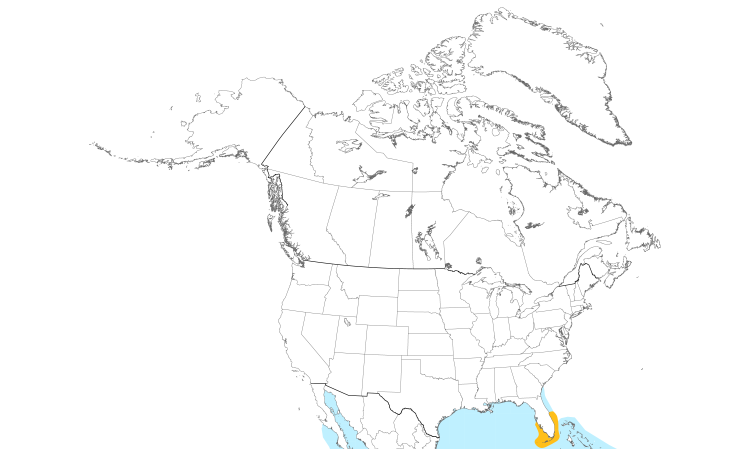 Range Map (North): Magnificent Frigatebird