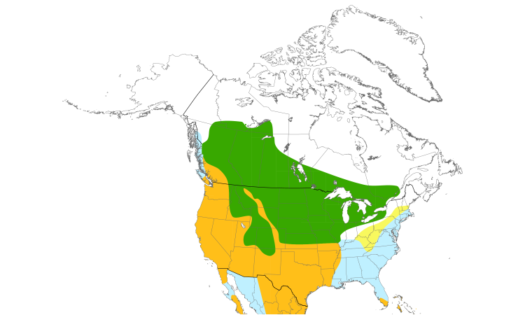 Range Map (North): American Coot