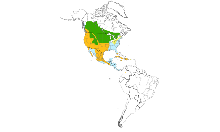 Range Map (Americas): American Coot