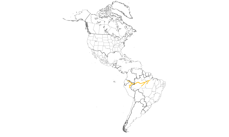 Range Map (Americas): Lesser Hornero