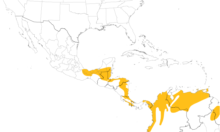 Range Map (Central): Rufous-tailed Jacamar