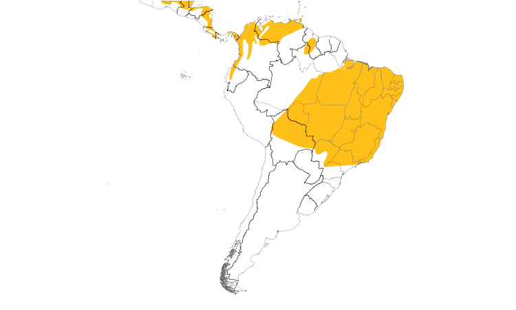 Range Map (South): Rufous-tailed Jacamar