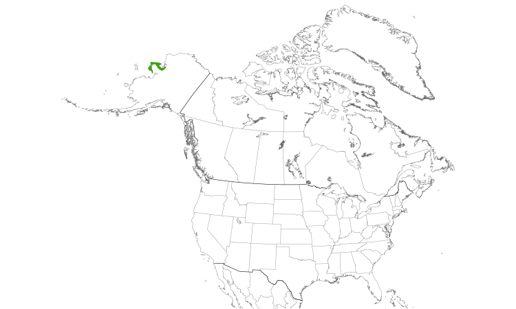 Range Map (North): Arctic Loon
