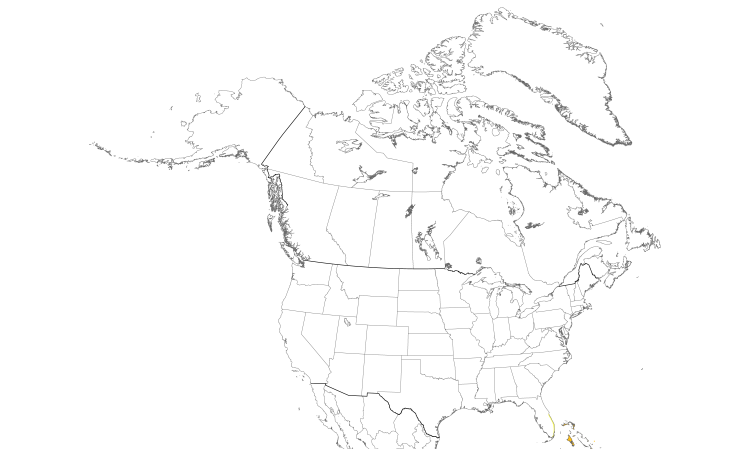 Range Map (North): Key West Quail-Dove