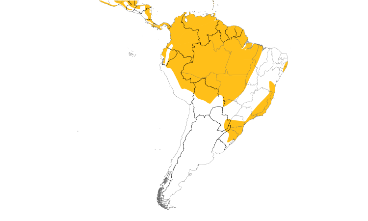 Range Map (South): Ruddy Quail-Dove