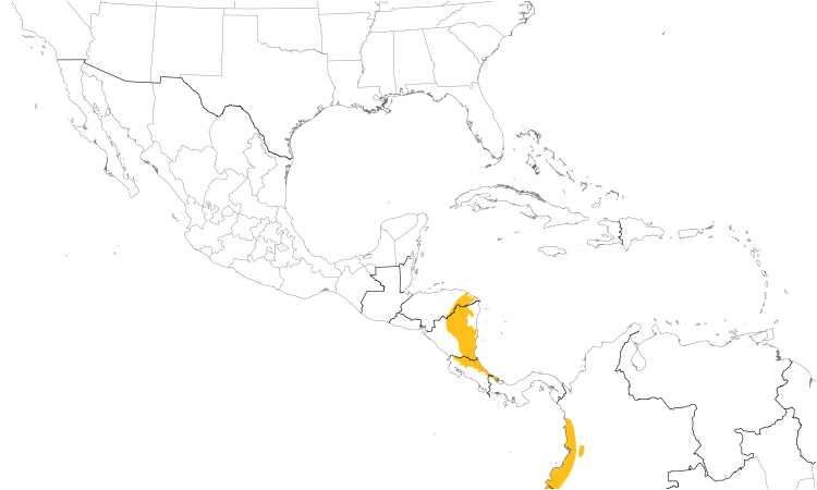 Range Map (Central): Olive-crowned Yellowthroat