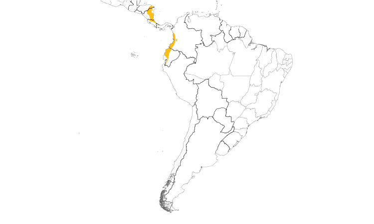 Range Map (South): Olive-crowned Yellowthroat