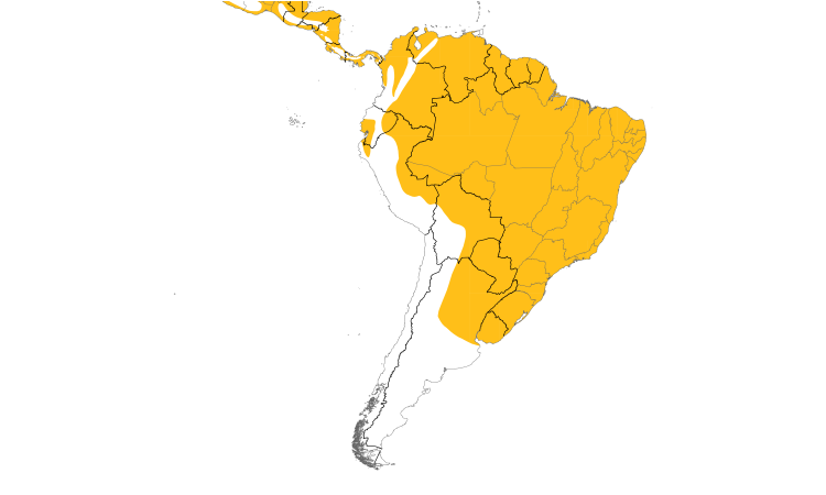 Range Map (South): Crane Hawk
