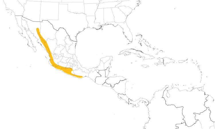 Range Map (Central): Colima Pygmy-Owl