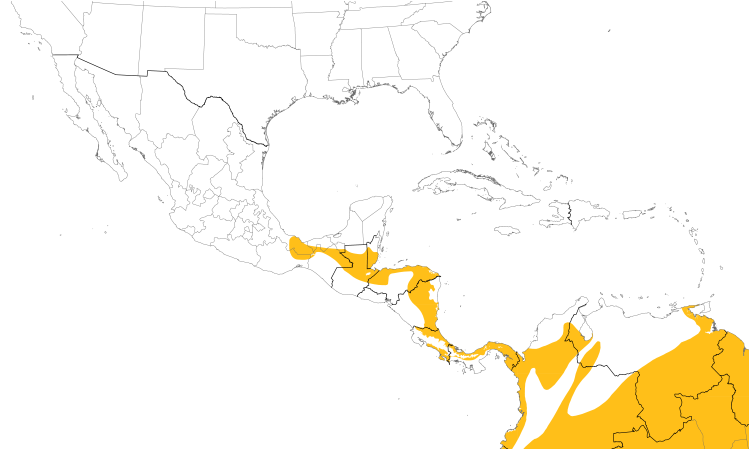 Range Map (Central): Wedge-billed Woodcreeper