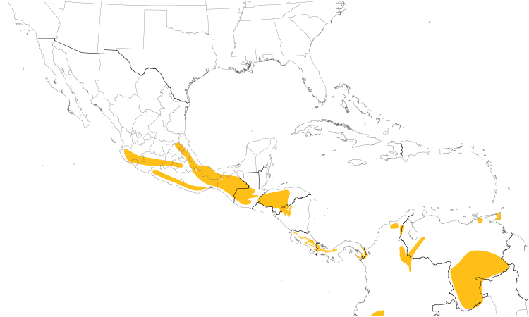 Range Map (Central): Scaled Antpitta