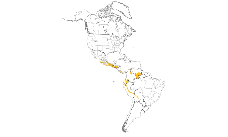 Range Map (Americas): Scaled Antpitta