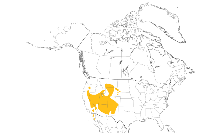 Range Map (North): Pinyon Jay