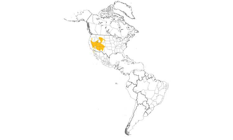 Range Map (Americas): Pinyon Jay