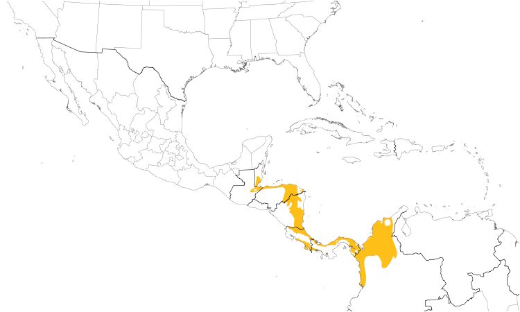 Range Map (Central): Bare-crowned Antbird