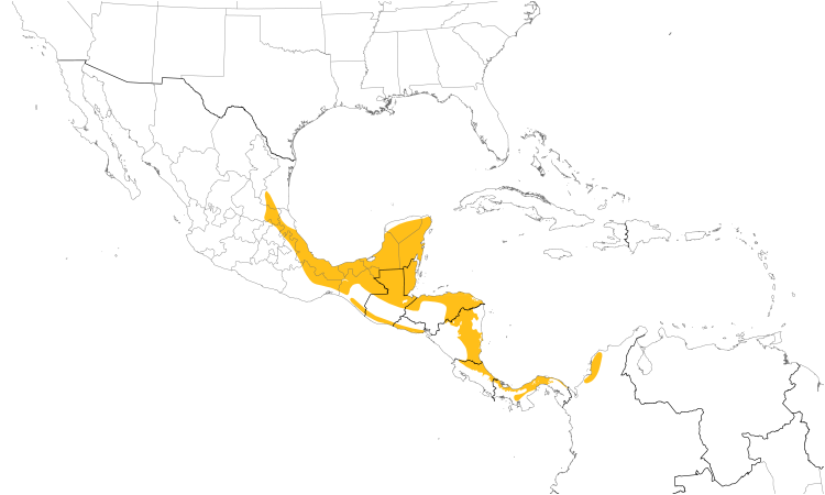 Range Map (Central): Red-throated Ant-Tanager
