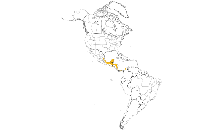 Range Map (Americas): Red-throated Ant-Tanager