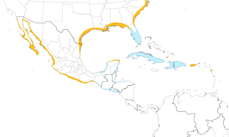 Range Map (Central): American Oystercatcher