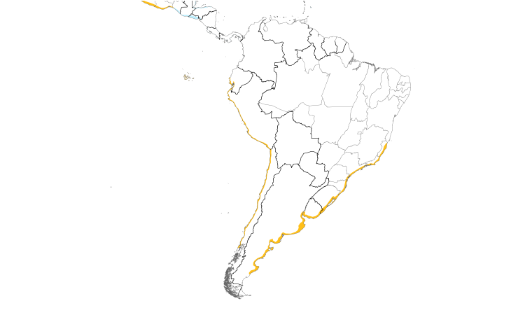 Range Map (South): American Oystercatcher