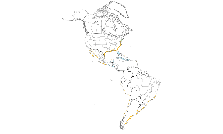 Range Map (Americas): American Oystercatcher