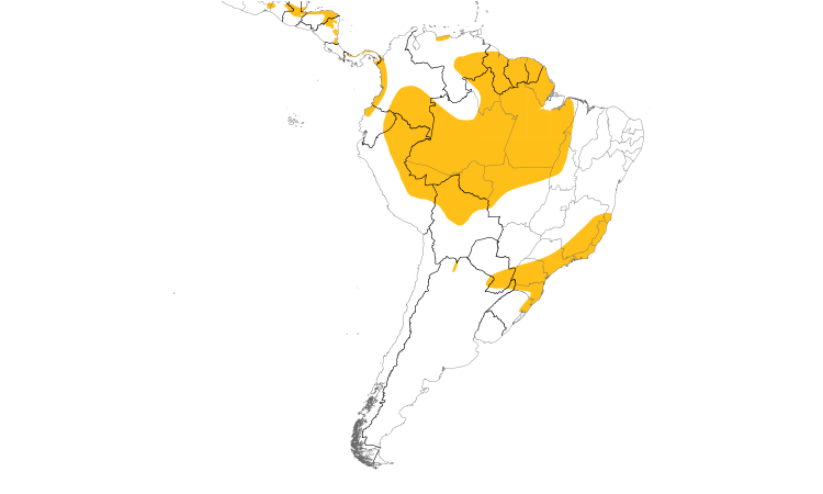 Range Map (South): Harpy Eagle