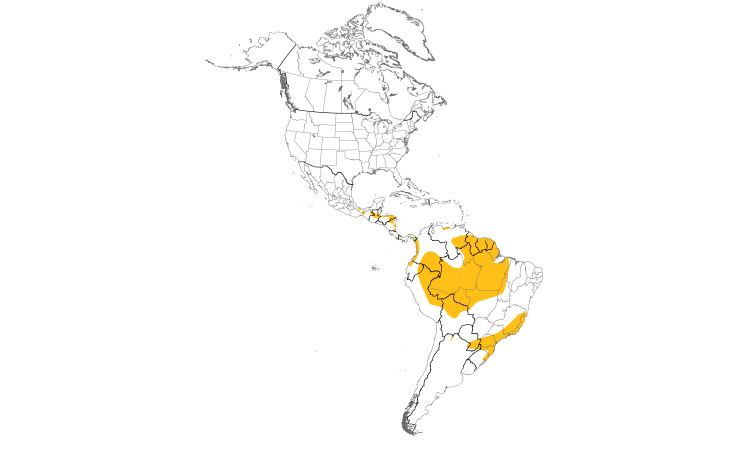 Range Map (Americas): Harpy Eagle