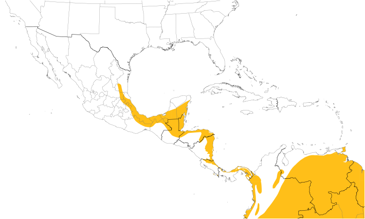 Range Map (Central): Sungrebe
