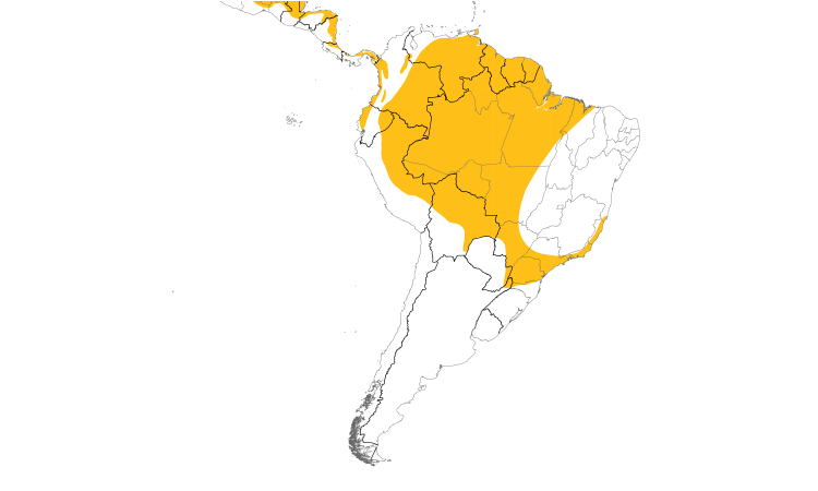 Range Map (South): Sungrebe