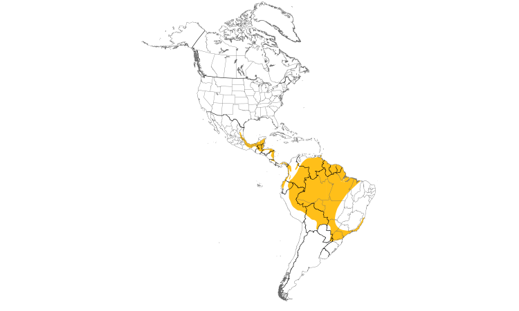 Range Map (Americas): Sungrebe