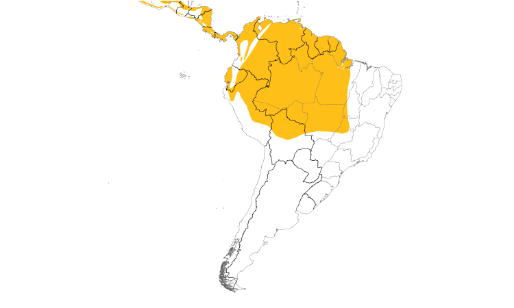 Range Map (South): Long-billed Starthroat