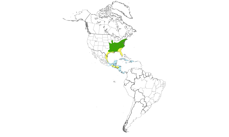 Range Map (Americas): Worm-eating Warbler