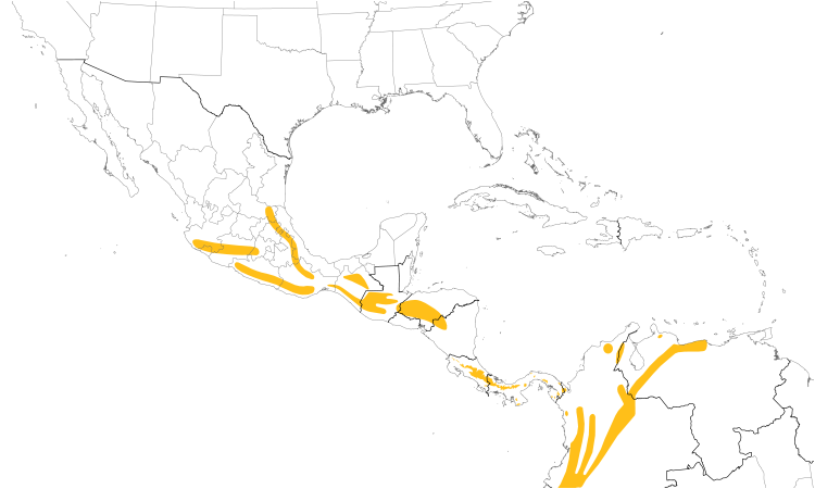 Range Map (Central): Gray-breasted Wood-Wren