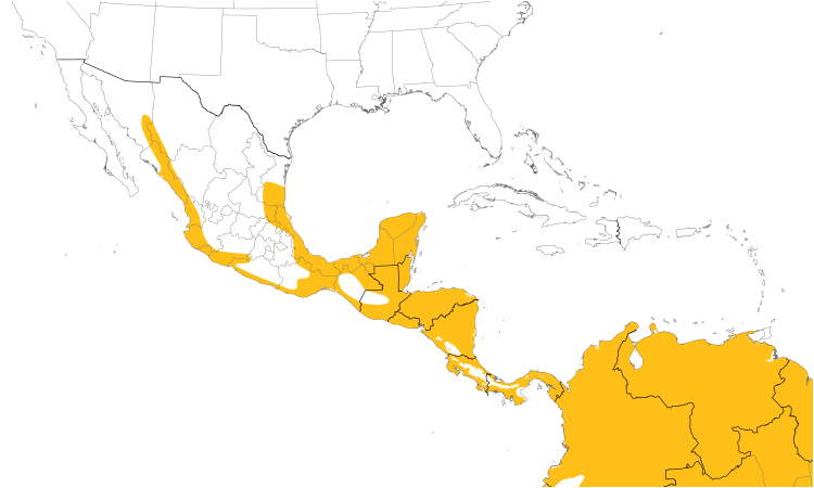 Range Map (Central): Laughing Falcon