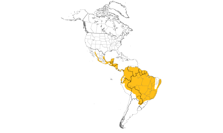 Range Map (Americas): Laughing Falcon