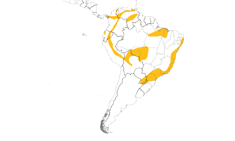 Range Map (South): Rufous-winged Antwren