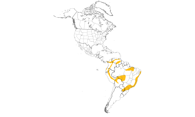 Range Map (Americas): Rufous-winged Antwren