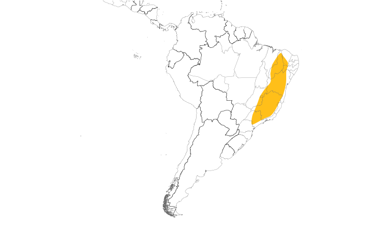 Range Map (South): Gray-eyed Greenlet