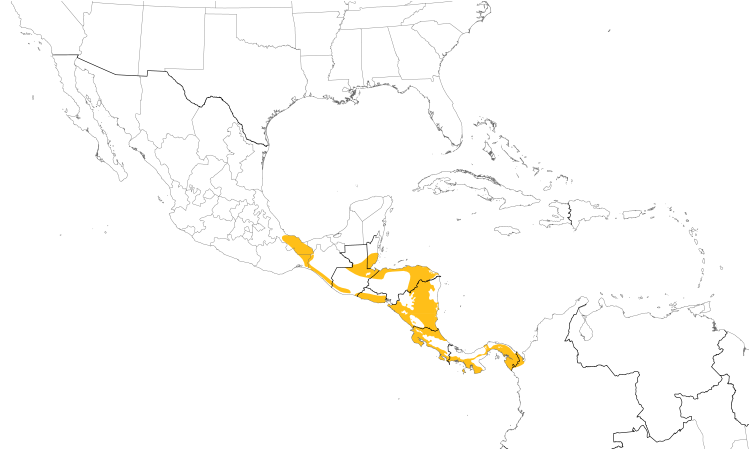 Range Map (Central): Blue-throated Goldentail