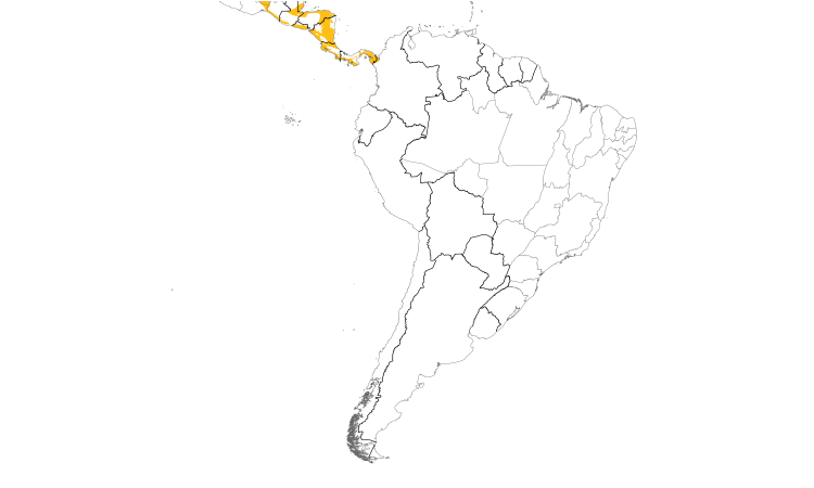 Range Map (South): Blue-throated Goldentail