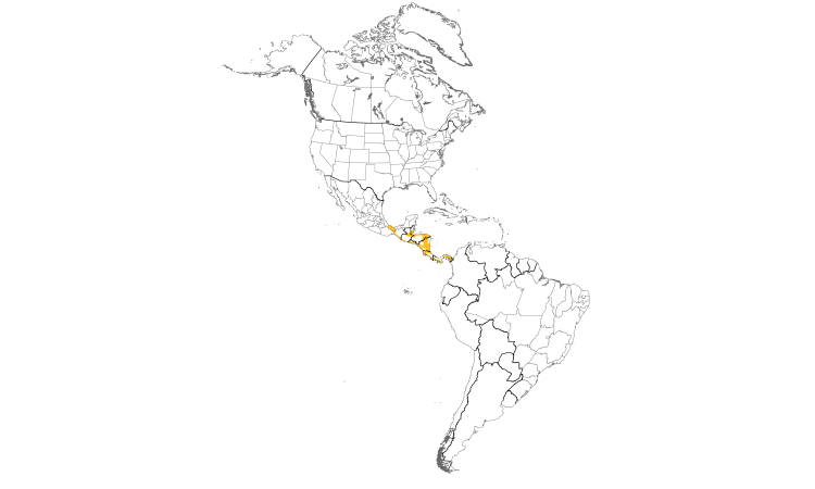 Range Map (Americas): Blue-throated Goldentail