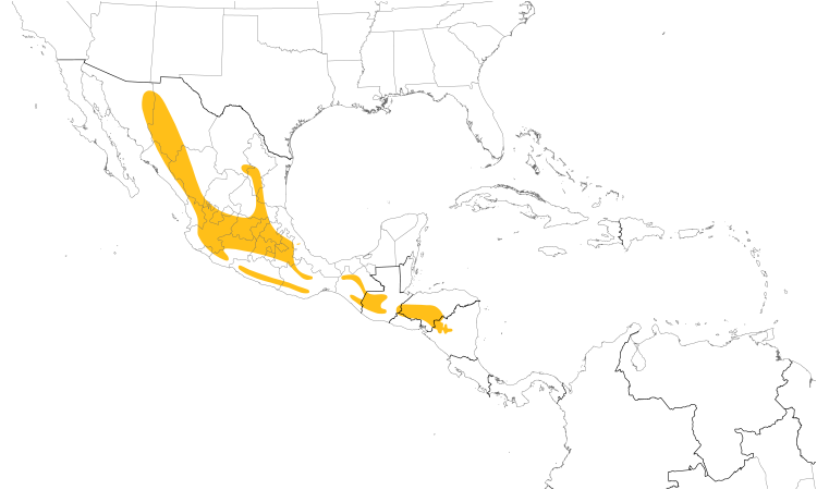Range Map (Central): White-eared Hummingbird