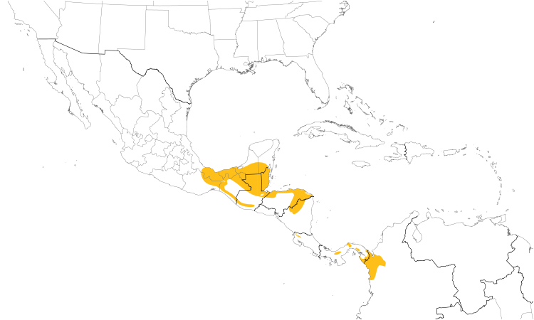 Range Map (Central): Tody Motmot