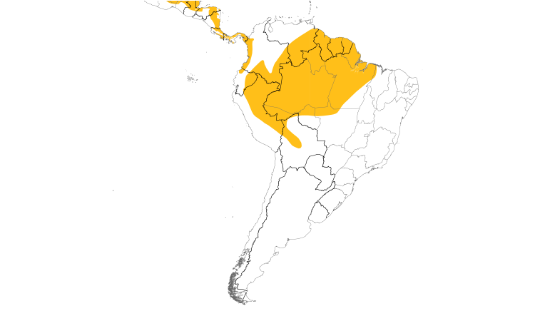 Range Map (South): Tawny-crowned Greenlet