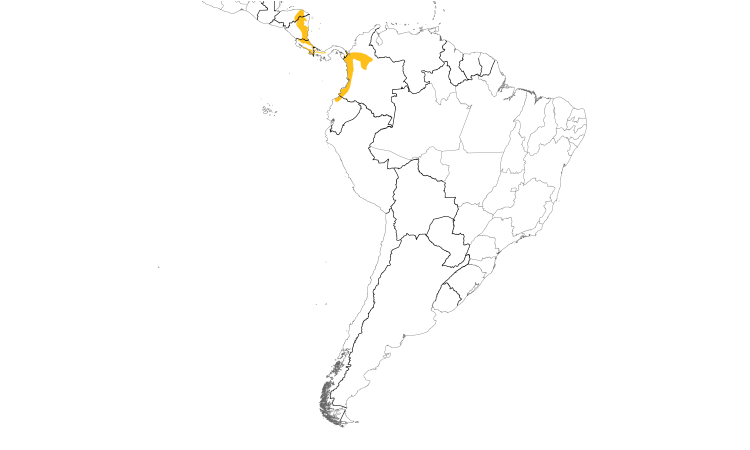 Range Map (South): Streak-chested Antpitta